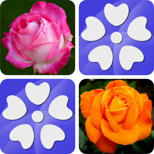 Pexeso: Flowers game icon
