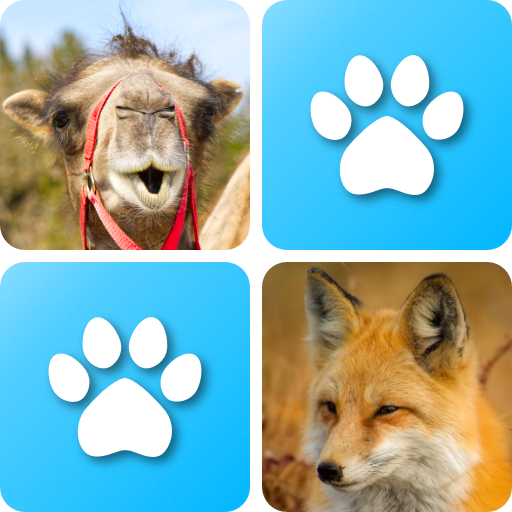 Pexeso: Animals game icon